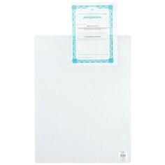 Файл-вкладыш (А2, 180мкм, до 10л, рифленый) 443x602мм, 1шт. Noname