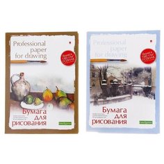 Папка для рисования А4, 20 листов "Профессиональная серия", блок 150 г/м2, гознак, микс Альт