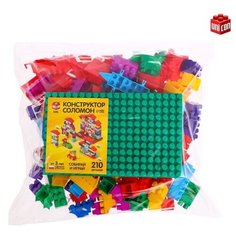 Конструктор №10 «Семицветик», 210 деталей Solomon