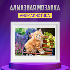 Алмазная мозаика кот DIY