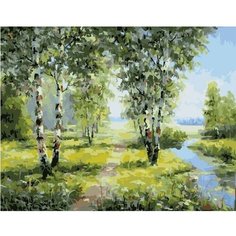 Картина по номерам Березы у реки 40х50 см Hobby Home