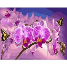 Картина по номерам Цветок орхидеи 40х50 см Hobby Home