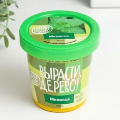 Набор для выращивания растений "Вырасти, Дерево! Мелисса" Noname