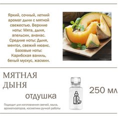 Мятная дыня, отдушка для свечей и мыла (250 мл) Candle M