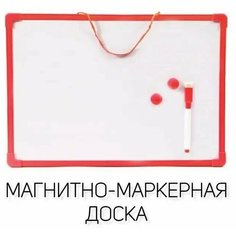Доска магнитно-маркерная , двухсторонняя, 20*30 см, в комплекте маркер, магниты/TOYS BOX Family Joys