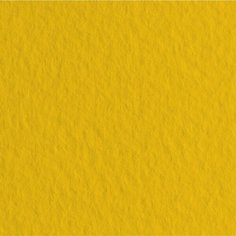 Fabriano Бумага для пастели "Tiziano" 160г/м2 50x65см золотой, 10л