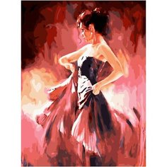 Картина по номерам Страсть танцовщицы 40х50 см АртТойс