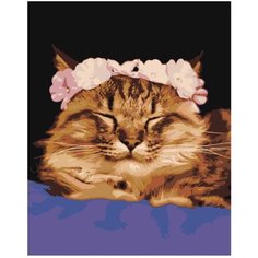 Картина по номерам Милая кошечка 40х50 см АртТойс