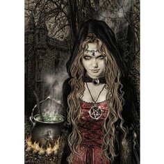 Картина по номерам Колдунья 40х50 см АртТойс