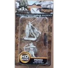 Набор из 2 фигурок для настольных игр. "Женщина воин". ДнД / Dungeons & Dragons Нет бренда