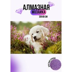 Алмазная мозаика стразами "Щенок лабрадора" 30х40 см Full OF Benefit