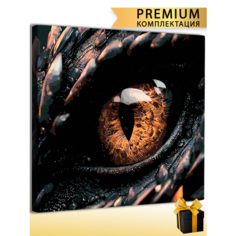 Картины по номерам Глаз Дракона 40x50