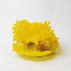 Набор для творчества «Лучистые кристаллы», цвет жёлтый Школа талантов
