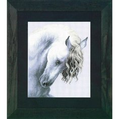 Набор для вышивания крестом "Стремительный конь", 28х34 см, PN-0147414, Lanarte