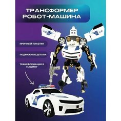 Робот-трансформер Panawealth Inter Holdings