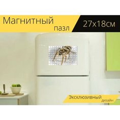 Магнитный пазл "Арахнид, паук, паукскакун" на холодильник 27 x 18 см. Lots Prints