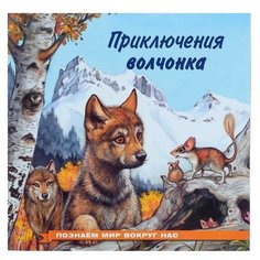 Познаём мир вокруг нас «Приключения волчонка» Flamingo