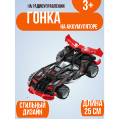 Машинка на радиоуправлении на аккумуляторе в коробке Shantou City Plastic Toy Industrial Сo., Ltd