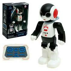 Zhorya Интерактивный робот Шунтик (управление голосом и с пульта, песни, сказки) ZYI-I0018