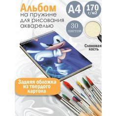 Альбом планшет для рисования акварелью мультфильм Соник Альбомы