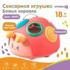Развивающая, сенсорная игрушка «Божья коровка», цвет микс