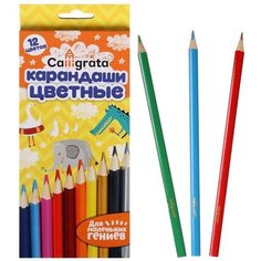 Calligrata Карандаши цветные 12 цветов, корпус деревянный, треугольный, в картонной коробке