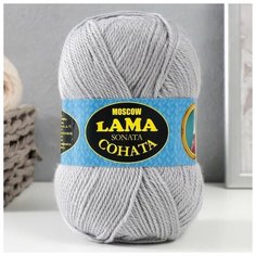 Пряжа "Соната" акрил 50%, шерсть п/т 50% 250м/100гр (008 серебристый), 1шт Dreammart