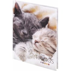 Блокнот 80 л. А6 клетка Котики 114439 STAFF