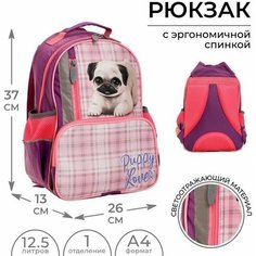 Рюкзак школьный, 37 х 26 х 13 см, эргономичная спинка, Calligrata ОРТ "Мопсик"