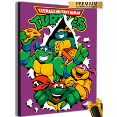 Картины по номерам Черепашки нинзя 40x50