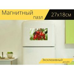 Магнитный пазл "Ягода, красный, ягоды рябины" на холодильник 27 x 18 см. Lots Prints