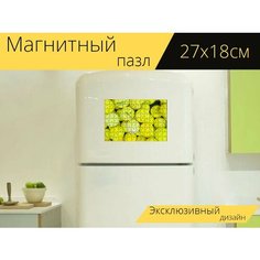 Магнитный пазл "Большой теннис, мячи, желтый" на холодильник 27 x 18 см. Lots Prints