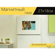 Магнитный пазл "Тигр, дикий, для" на холодильник 27 x 18 см. Lots Prints