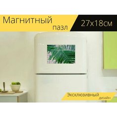 Магнитный пазл "Природа, фотография, зеленый" на холодильник 27 x 18 см. Lots Prints