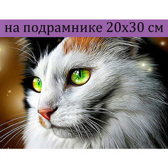 Алмазная мозаика на подрамнике 20х30 Кошка, алмазная живопись 30х20, 30*20, Наборы с круглыми стразами полная выкладка Стиль для Дома