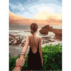 Картина по номерам Следуй за мной 40х50 см 000 Art Hobby Home
