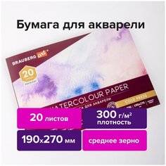 Альбом BRAUBERG 113222, комплект 2 шт.