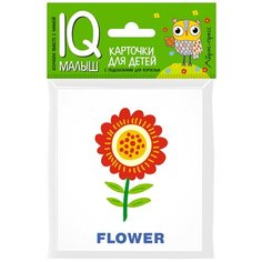 Книга Айрис-пресс Умный малыш. ENGLISH. Растения, 9х8 см