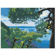 Картина по номерам, "Живопись по номерам", 54 x 72, Z-Z1011391