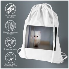 Сумка для обуви CoolPodarok Белый котёнок выглядывает