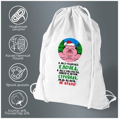 Сумка для обуви CoolPodarok Прикол. Зима. В лесу родилась елочка.