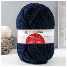 Пехорский текстиль Пряжа "Осенняя" 25% шерсть, 75% ПАН 150м/200гр (04 т. синий) Пехорка