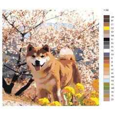 Картина по номерам Y-165 "Сиба-ину под сакурой. Собака" 80x80 Brushes Paints