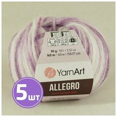 Пряжа YarnArt Allegro (743), мультиколор, 5 шт. по 50 г