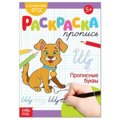 Раскраска пропись "Прописные буквы", 20 стр, 2 шт.