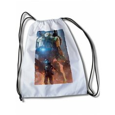 Мешок для сменной обуви с принтом Игры Titanfall -34769 Brut Boxers