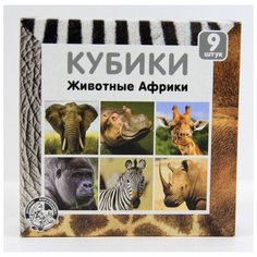 Кубики Животные Африки (без обклейки), 9 шт Junfa Toys