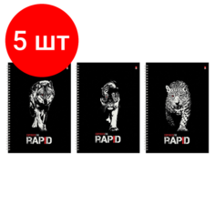 Комплект 5 шт, Тетрадь А4, 96 л, альт, гребень, клетка, глянцевая ламинация, "Rapid" (3 вида), 7-96-1122