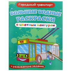 Большие водные раскраски с цветным контуром. Городской транспорт. де Лис Ф. Crystal Book