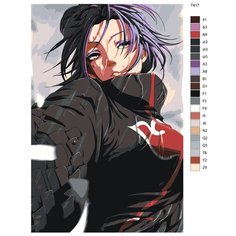 Картина по номерам Т417 "конан - Аниме Наруто" 40Х60 Brushes Paints